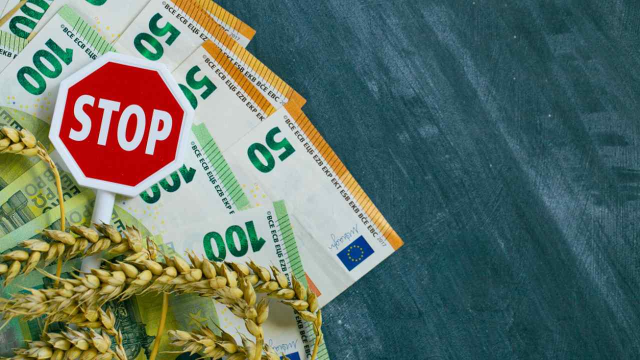 Aumento del prezzo del grano