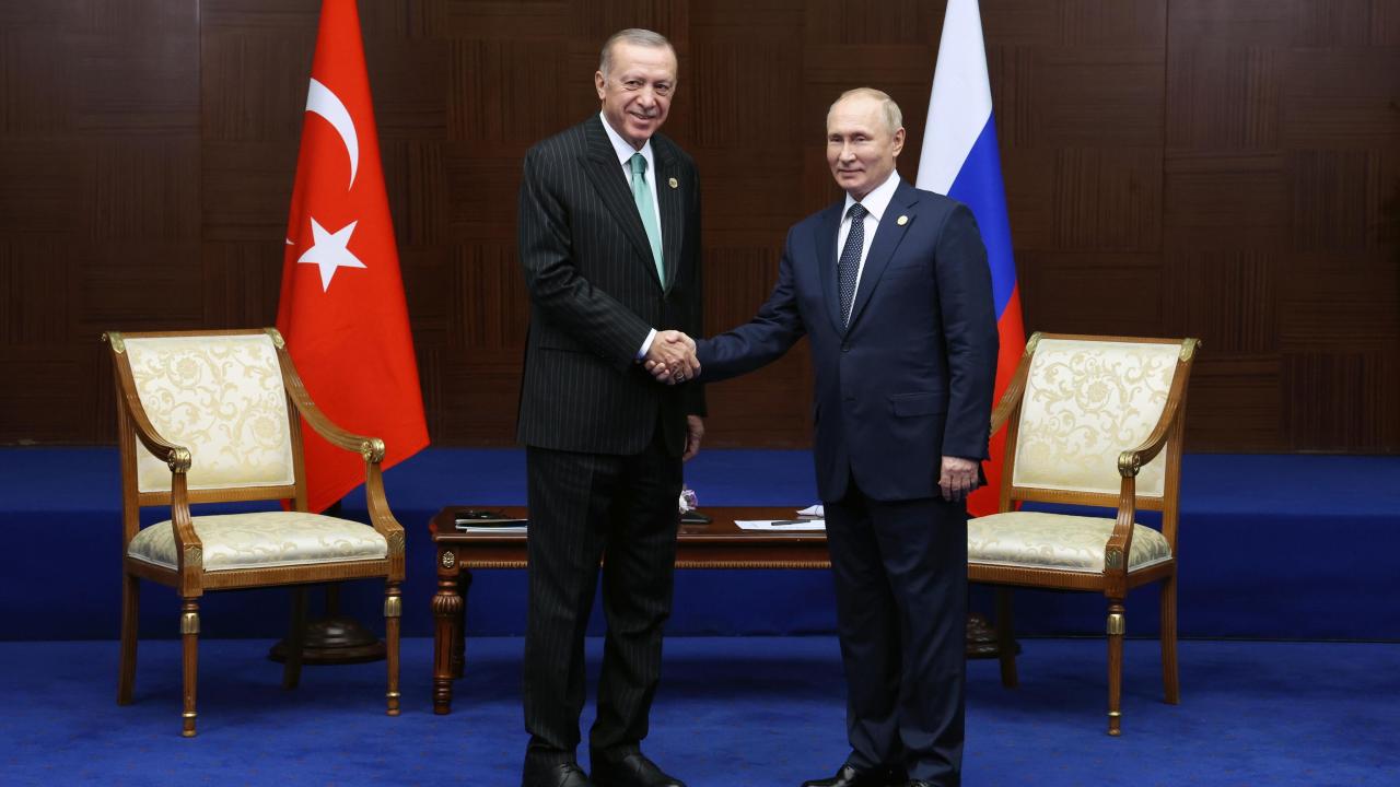 Erdogan Putin gas