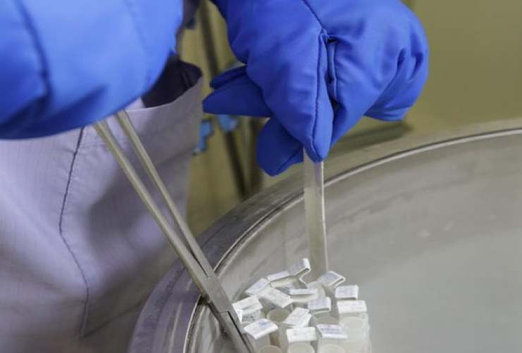 Incinta grazie ad ovociti congelati e donati 14 anni fa