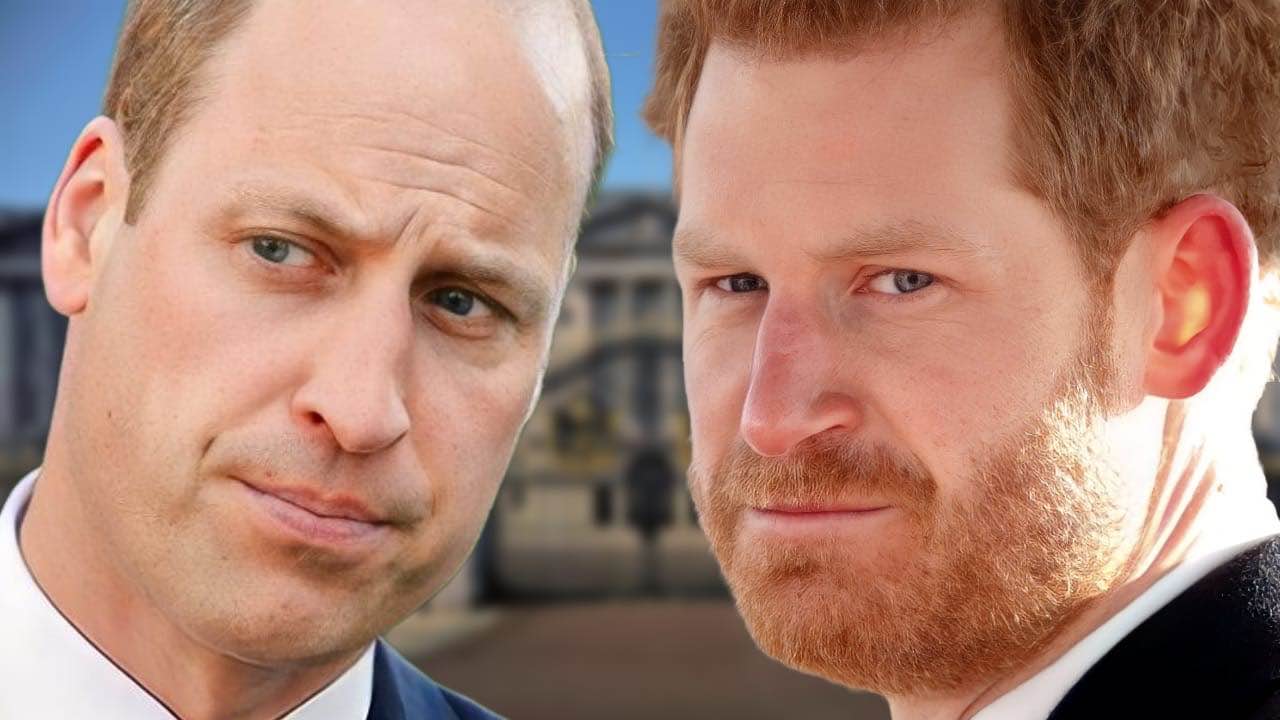 William e Harry lite