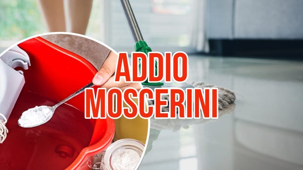 Moscerini In Casa Il Metodo Per Non Farli Pi Entrare Cosa Buttare 