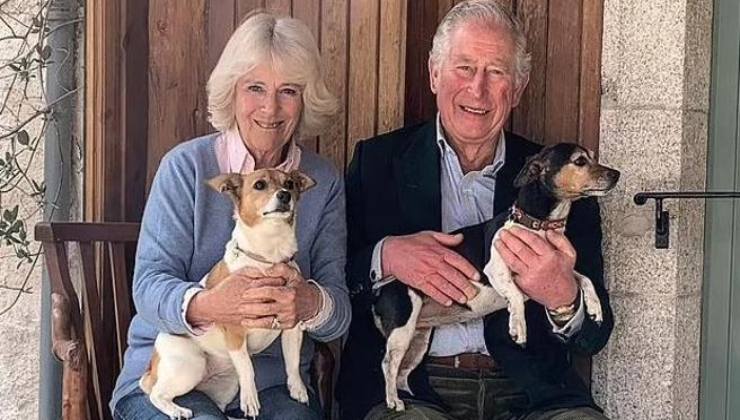 Re Carlo e Camilla: ecco i nuovi beniamini