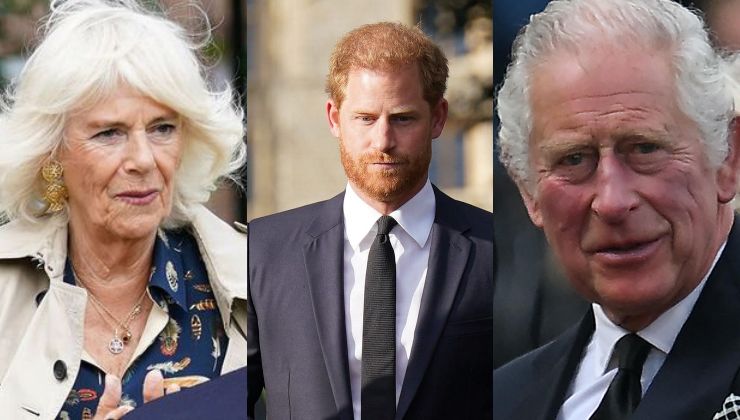 Harry svuota il sacco