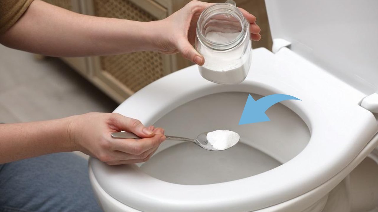 Puzza di urina dal water, come togliere i cattivi odori: basta 1 pizzico