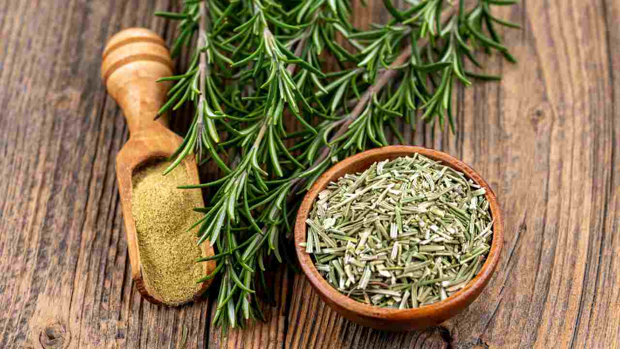 Small pieces of rosemary
