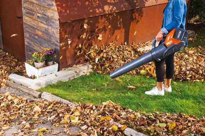 Set Pattini Per Spazzaneve A Gas 2 Stadi Ricambio Scarpe Neve