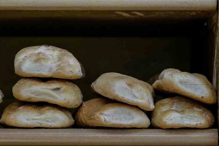 Pane