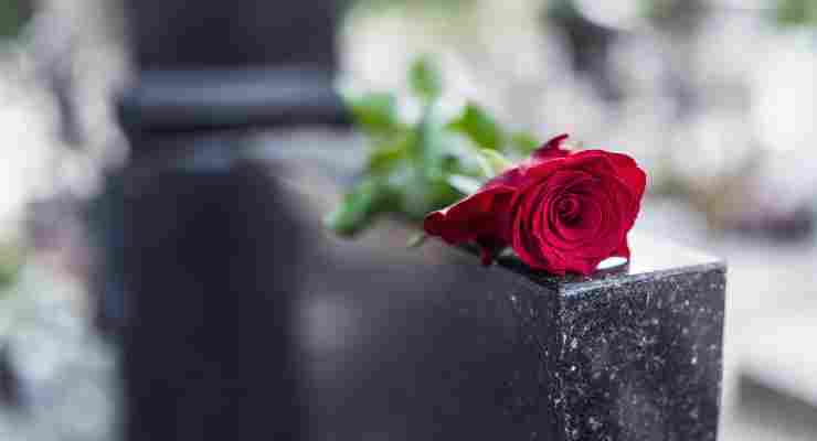 Rosa su una tomba