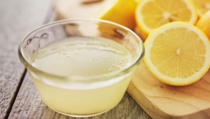 limón antimoho