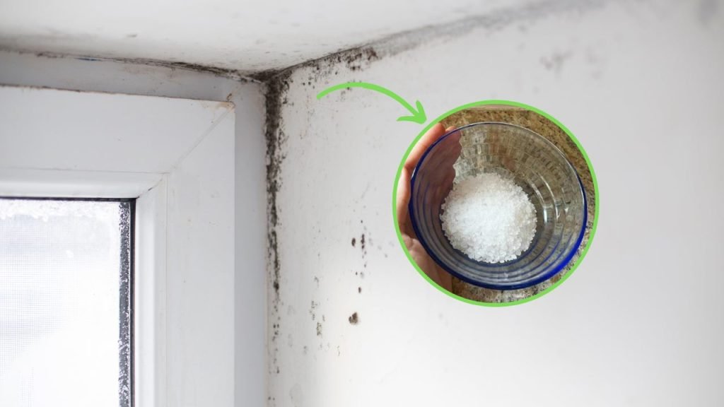 Deumidificatore Digitale Devology 12 Litri Al Giorno - App WI-FI - Modalità Di Sospensione - Foto 8