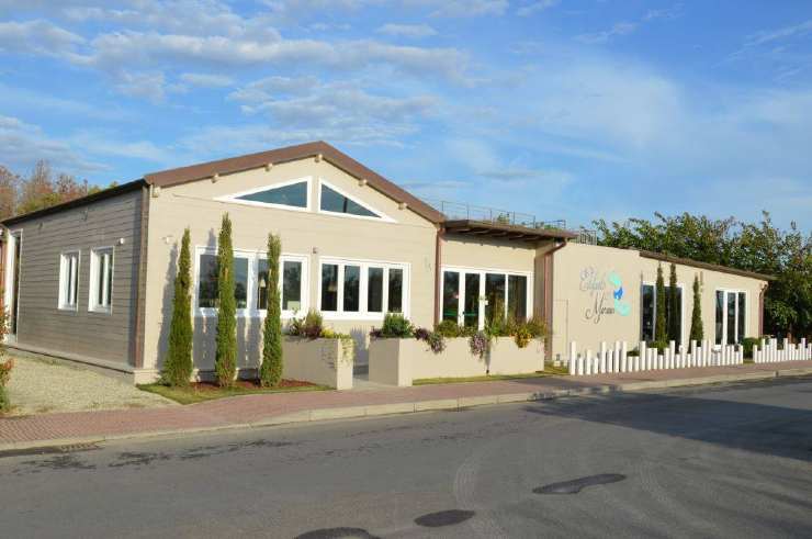 ristorante elefante marino 