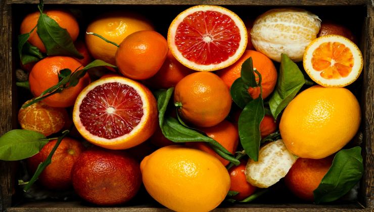 citrusfrukter