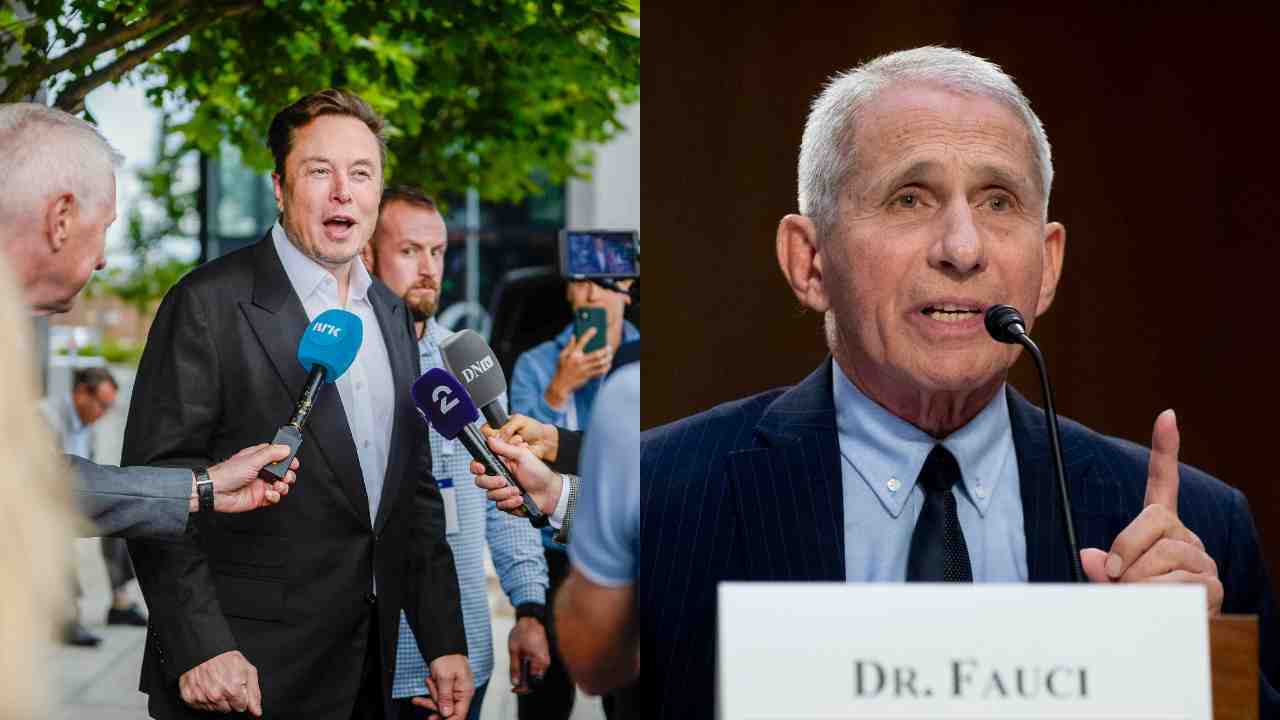 Elon Musk e Anthony Fauci