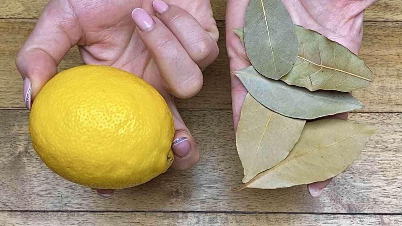 Limone e foglie di alloro