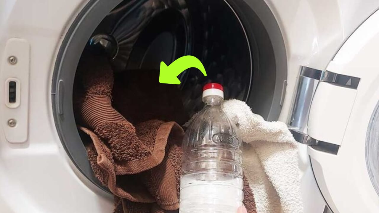 Metti questo in lavatrice