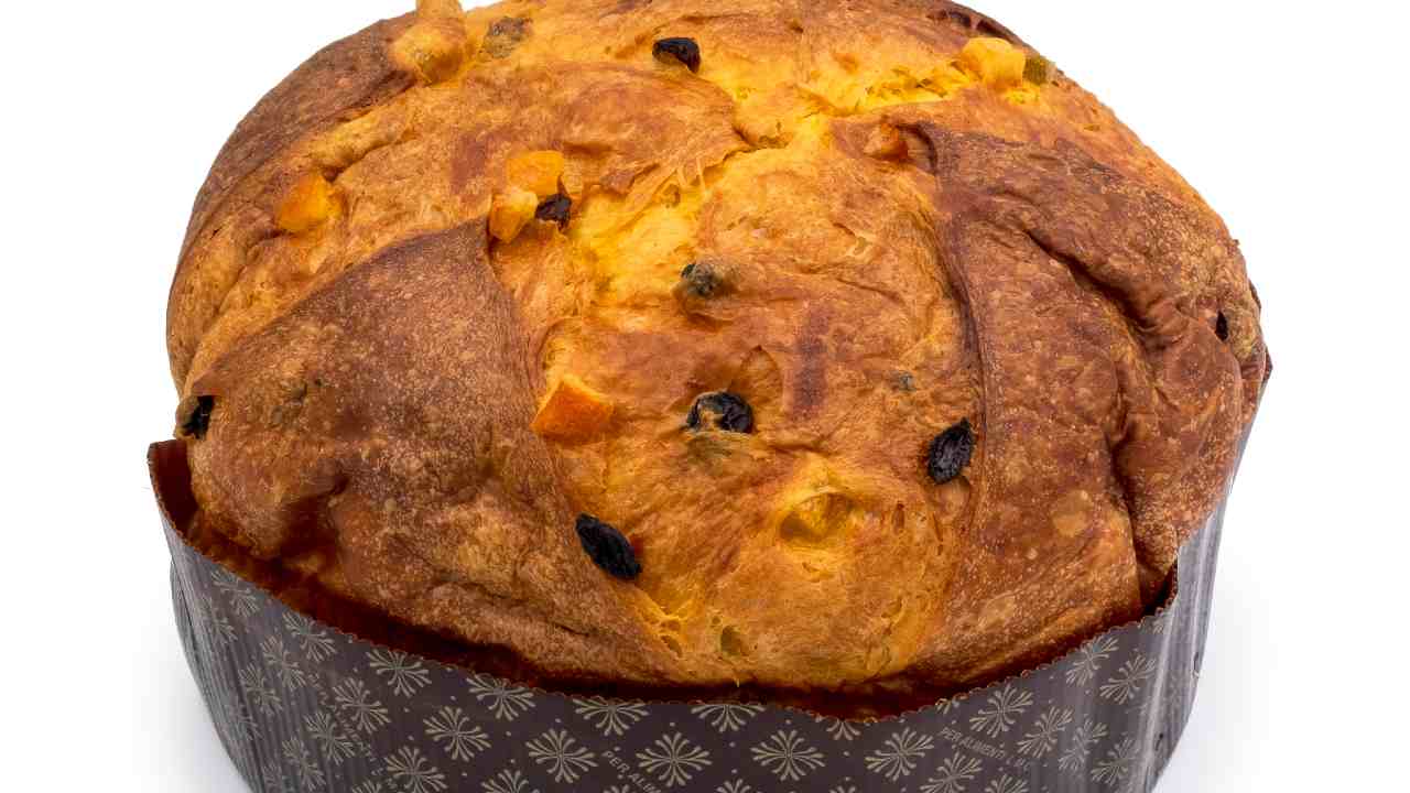 Panettone