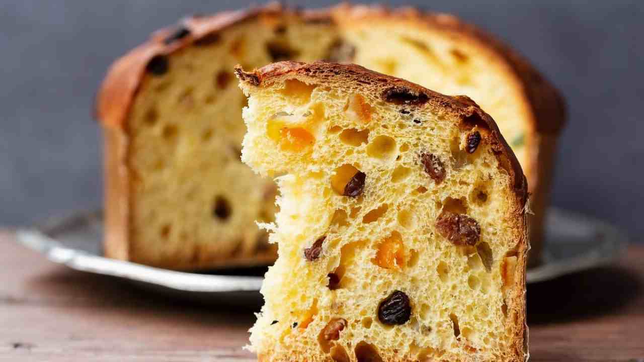 Panettone