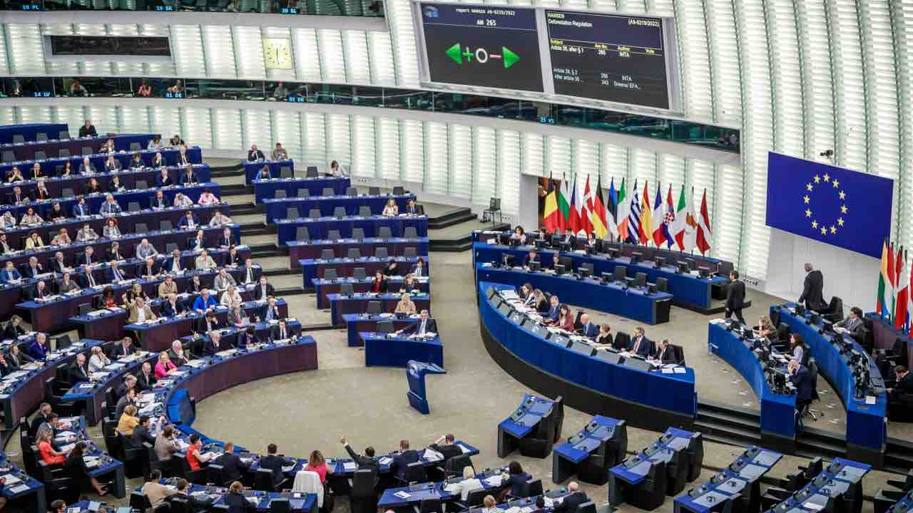 Membri Parlamento Europeo, dibattito deforestazione