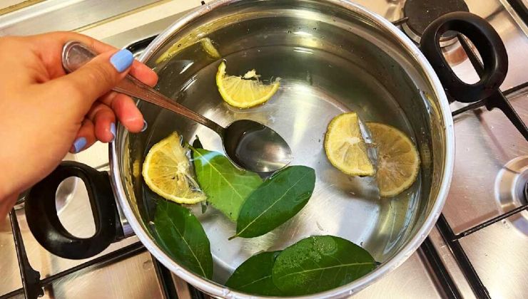 Tisana con foglie di alloro e limone