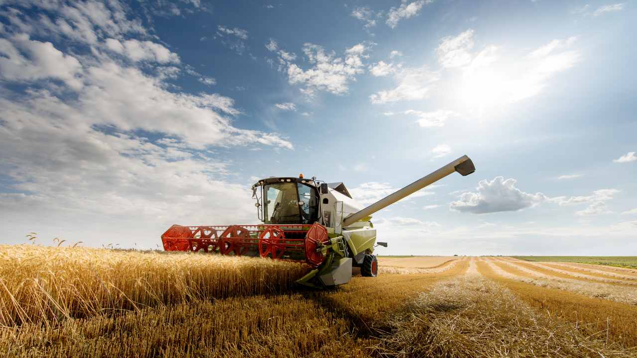 Una mietitrebbia che lavora in un campo di grano