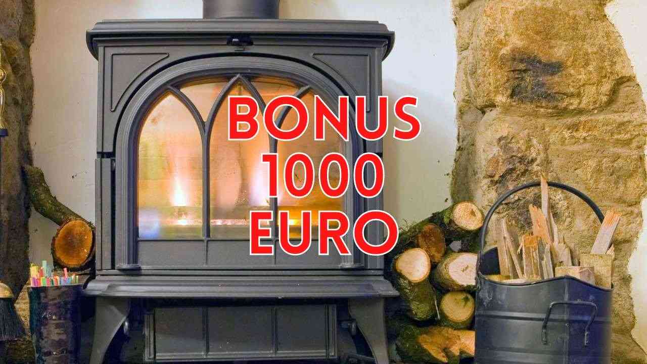 Bonus stufa a legna mille euro
