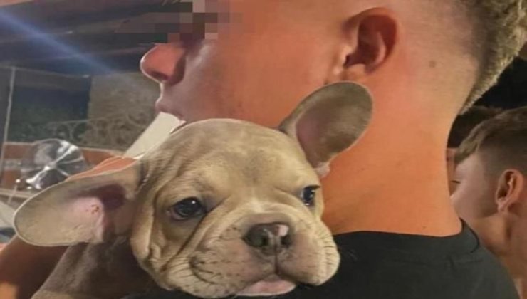 Totti: il nuovo regalo per Noemi