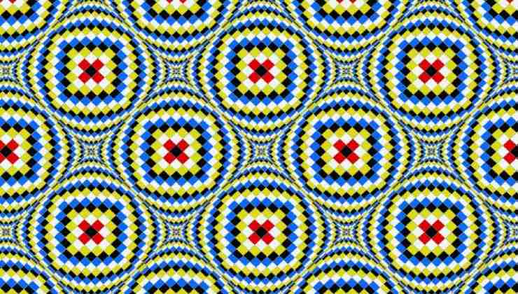 Illusione ottica e cervello