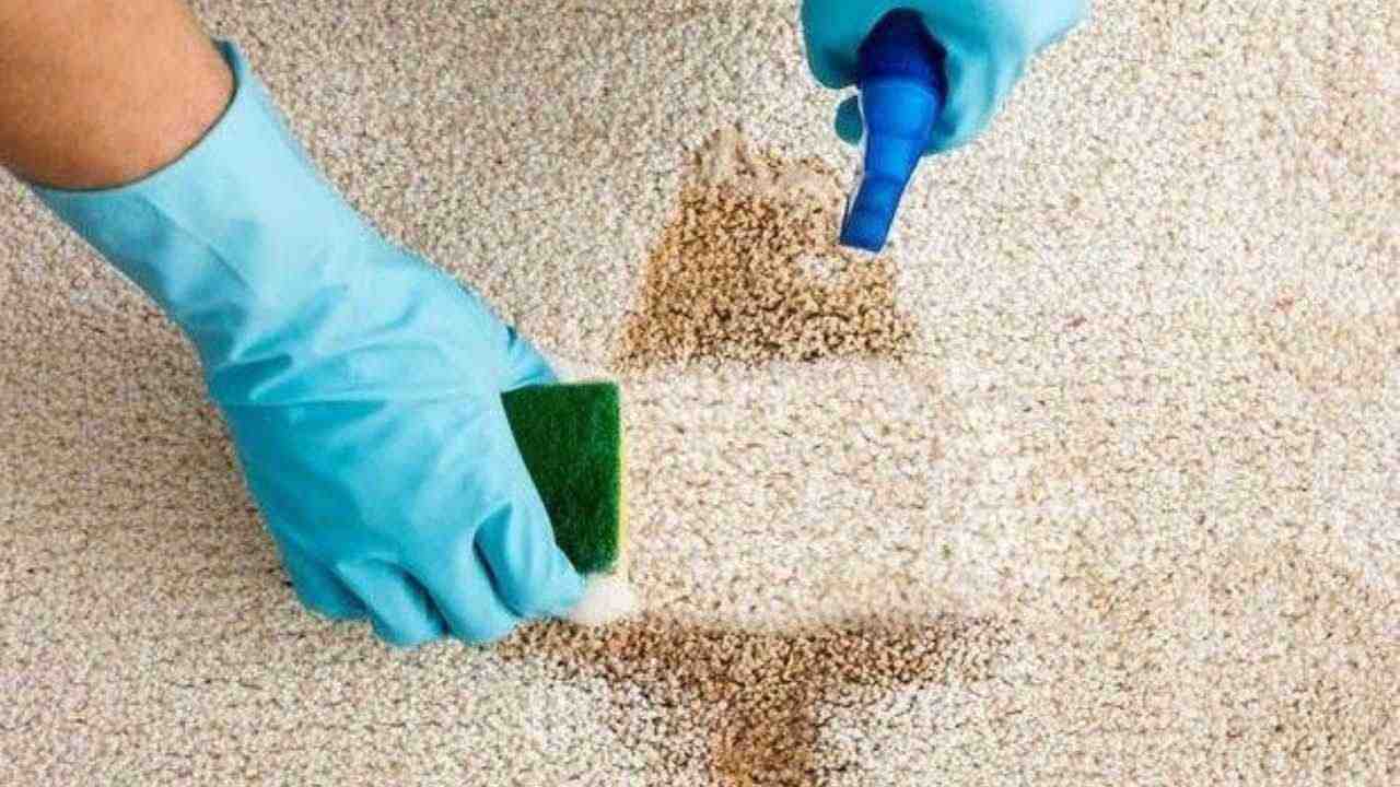 Smacchia il tappeto