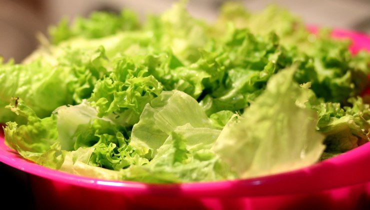 Insalata in busta: attenzione alla salmonella