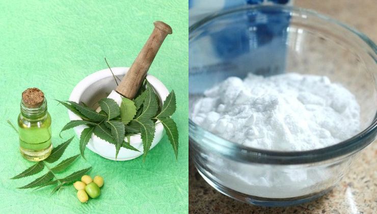 Aceite de neem y bicarbonato de sodio