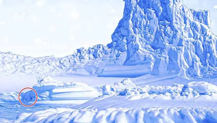 Risoluzione test orso polare