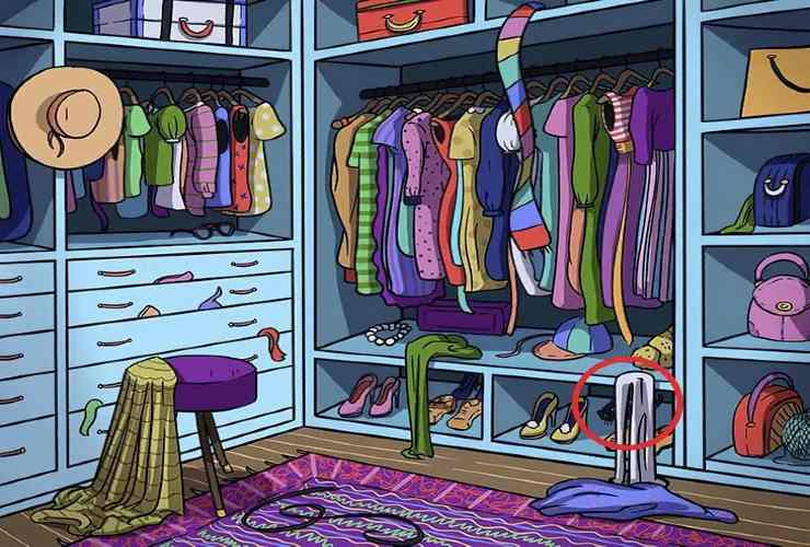 Soluzione gattino nell'armadio