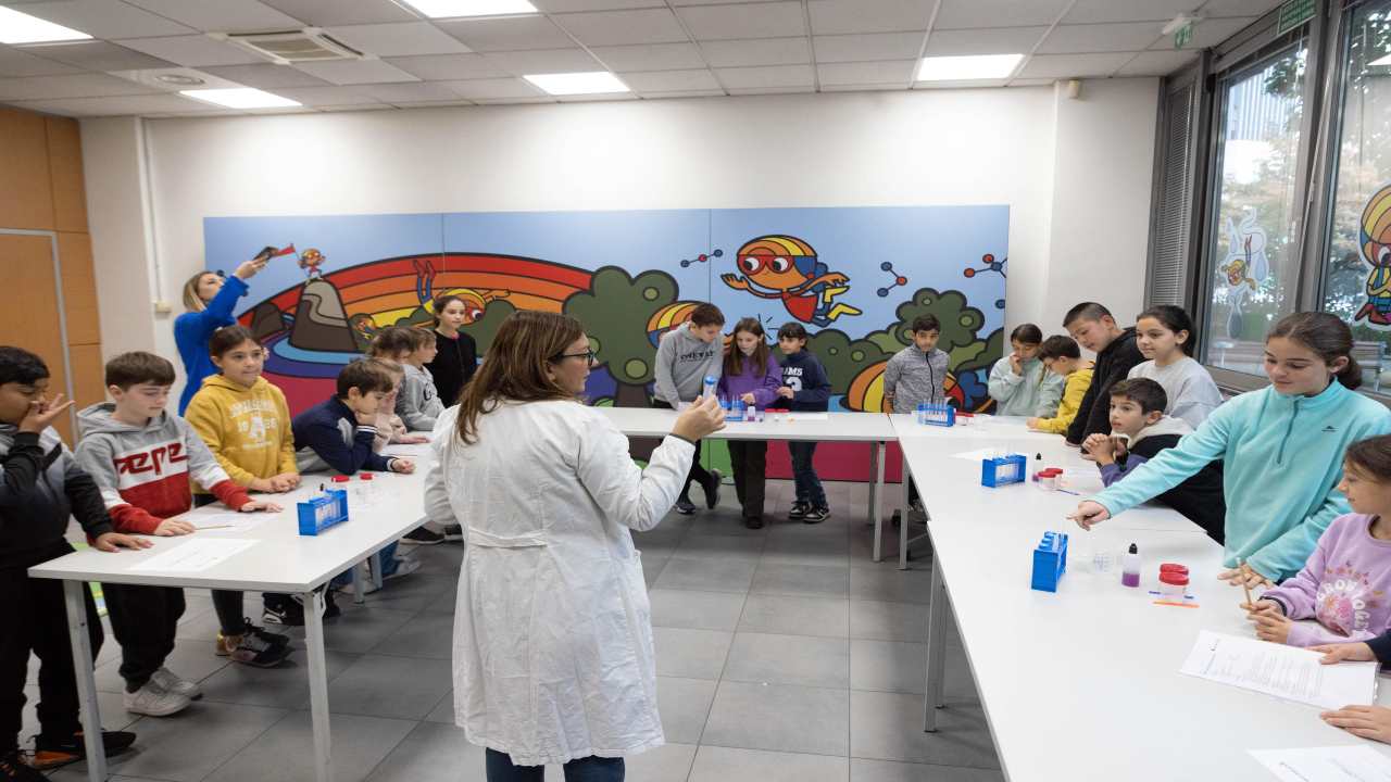 Insegnanti al lavoro