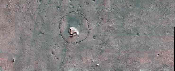 Orso su Marte 