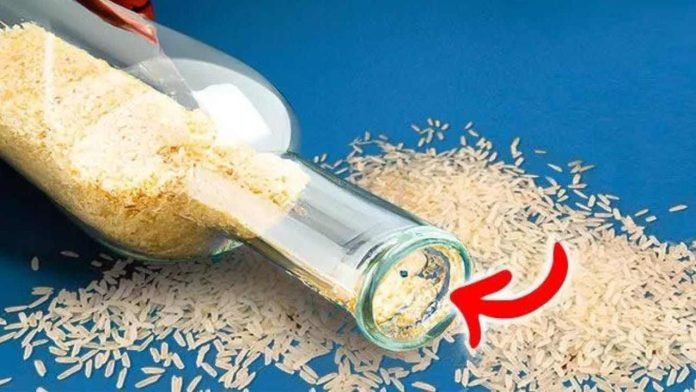 Bottiglia e bicchiere da vino: una guida professionale completa alla Bottiglia e bicchiere da vino: una guida professionale completa alla