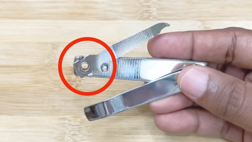 Tagliaunghie Elettrico Automatico Per Unghie, Dispositivo Di - Foto 11