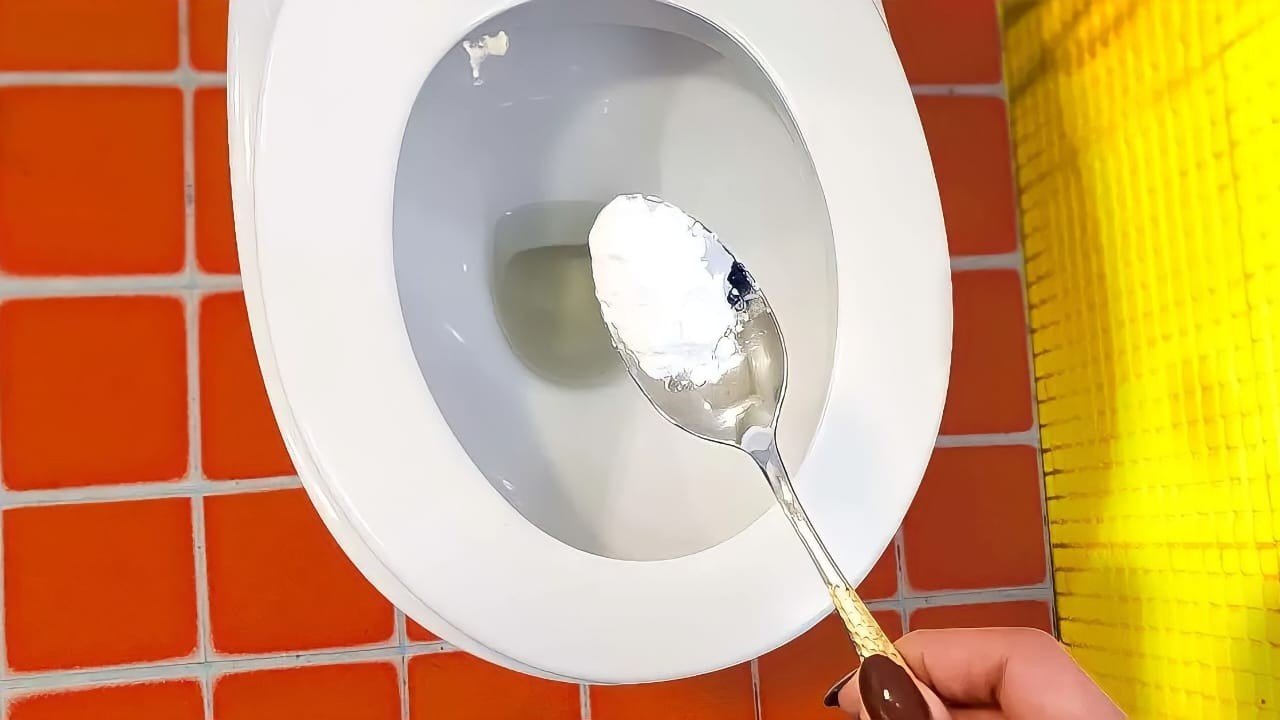 WC bianco