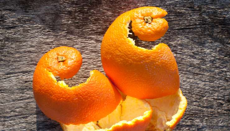 Buccia arancia in forno 