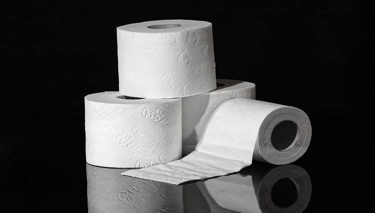 Toilet paper: this is why it is useful to store it in the closet