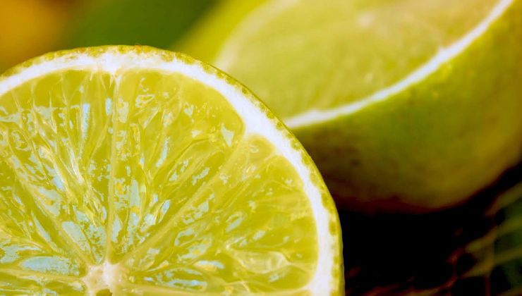 plátek citronu