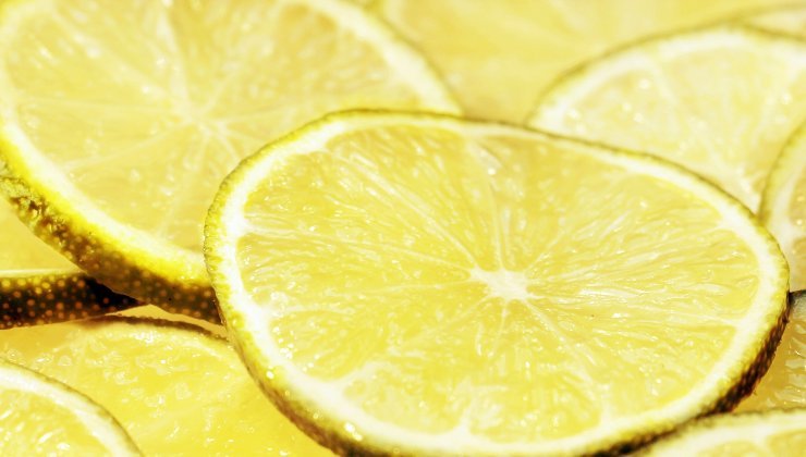 Zitrone: Hier ist der Zweck, Scheiben in einem Glas mit weißem Essig aufzubewahren