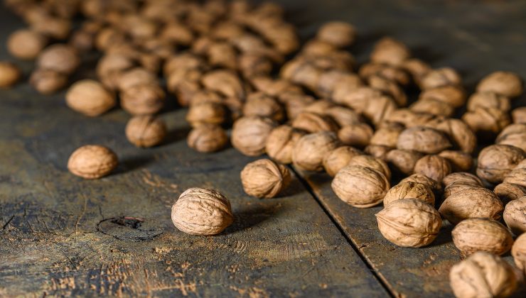 Ořechy: proto se skořápky používají na rostliny