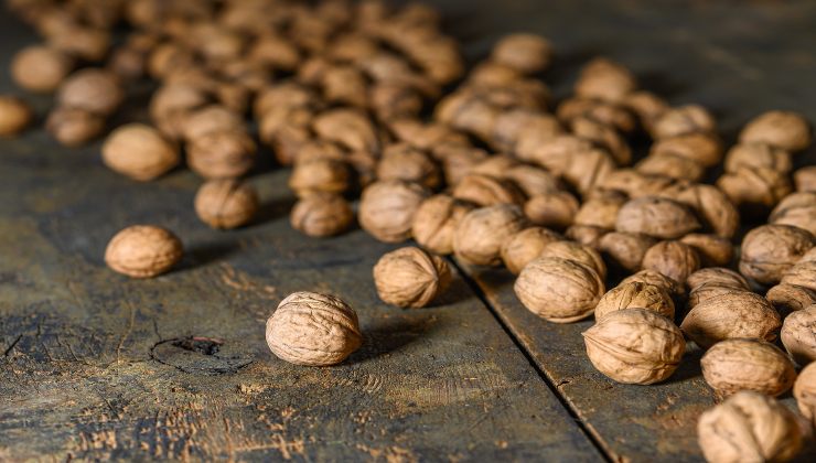 Nueces: por eso se usan las cáscaras en las plantas