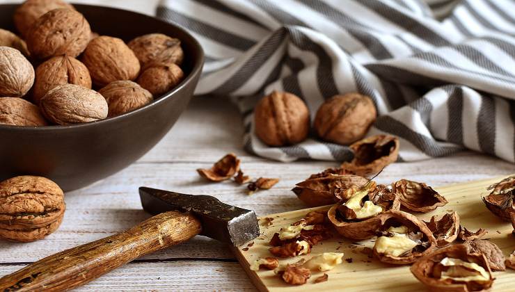 Nueces: por eso se usan las cáscaras en las plantas