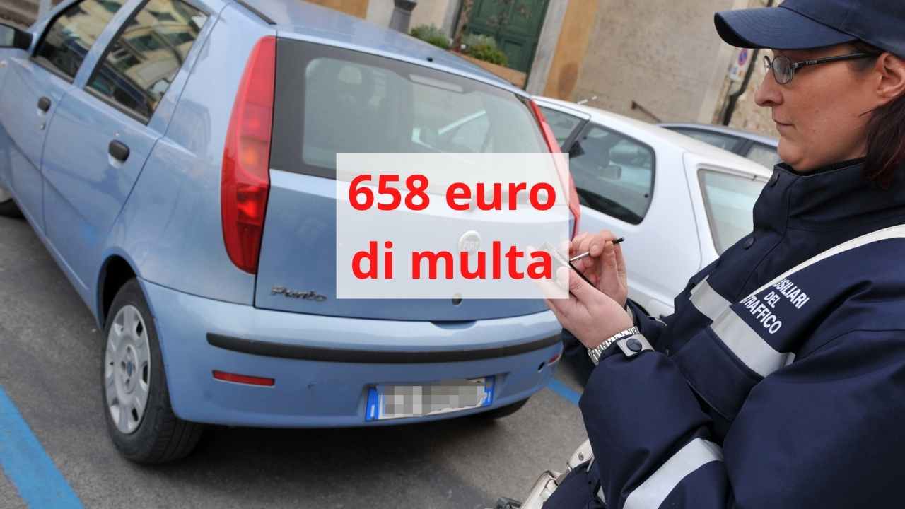 658 euro di multa