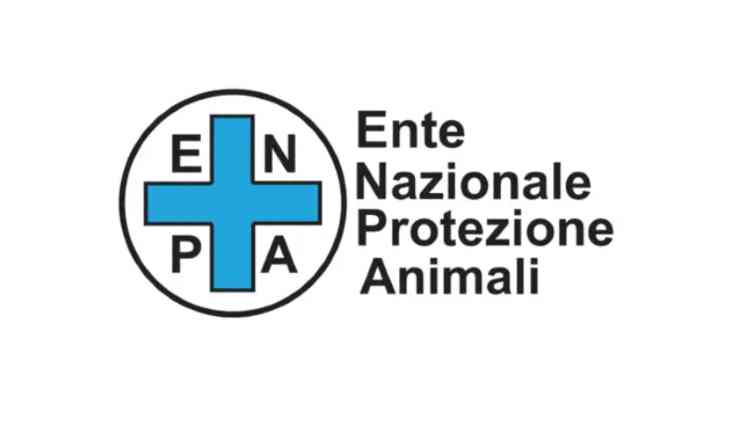 Logo Enpa