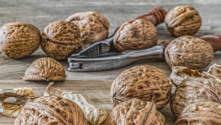 Vlašské ořechy – proto se vaří s bobkovým listem