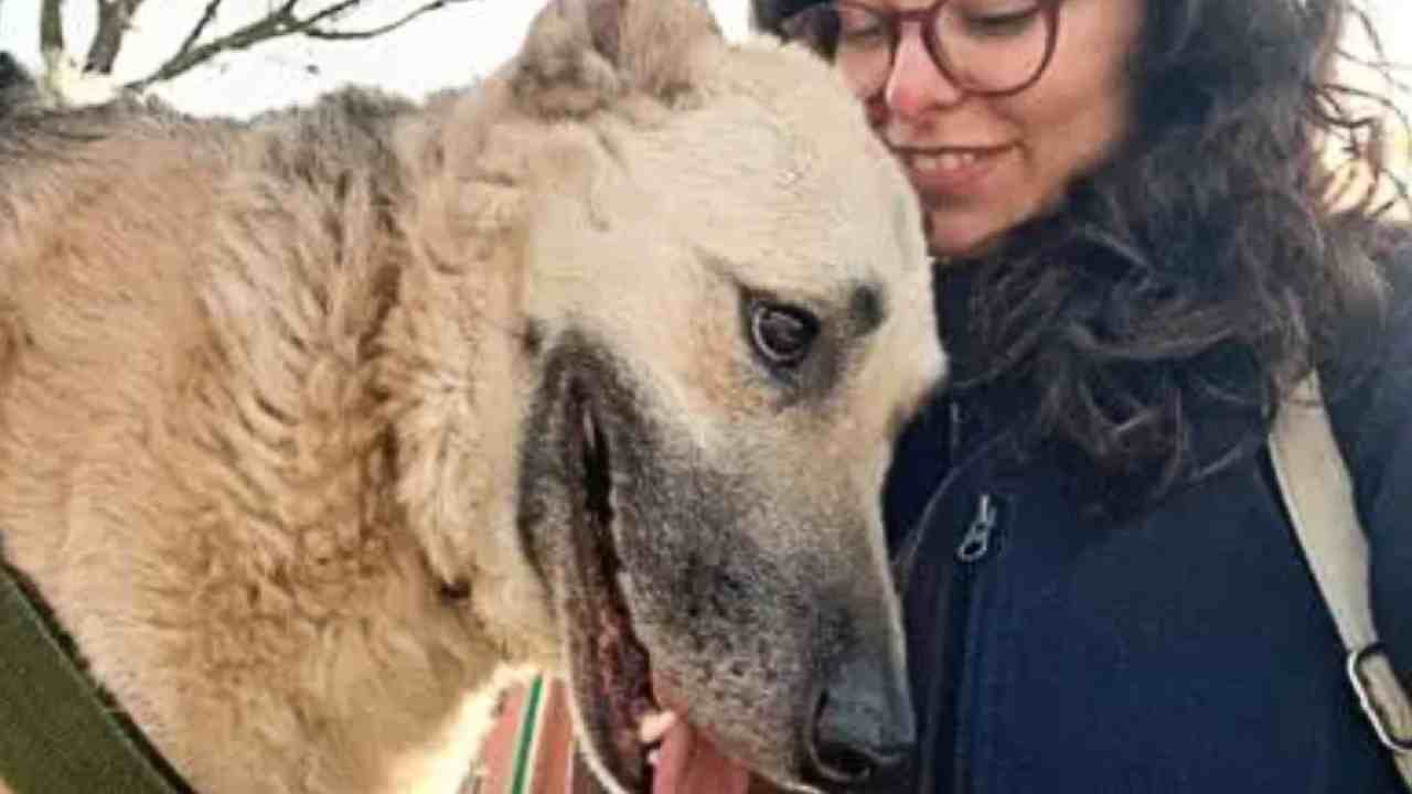 Ron con una volontaria