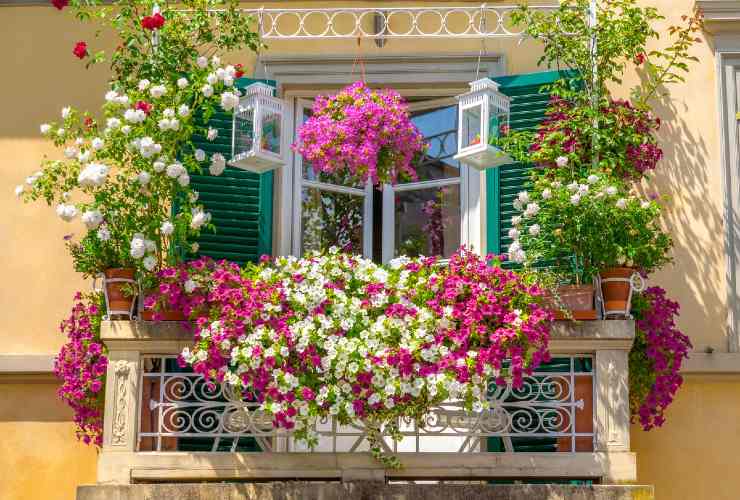 Květinový balkon