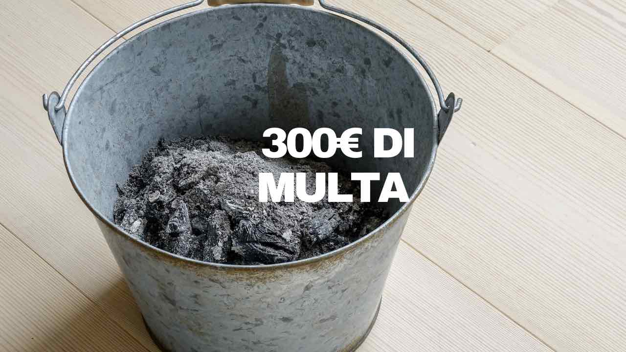 cenere multa